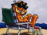 www.garfield.com
